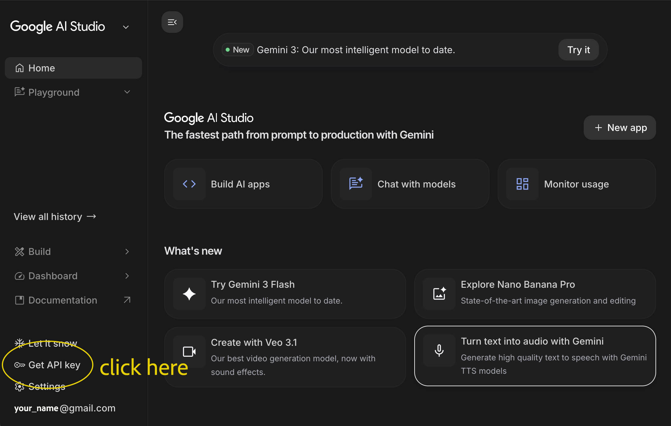 Google AI Studio Dashboard